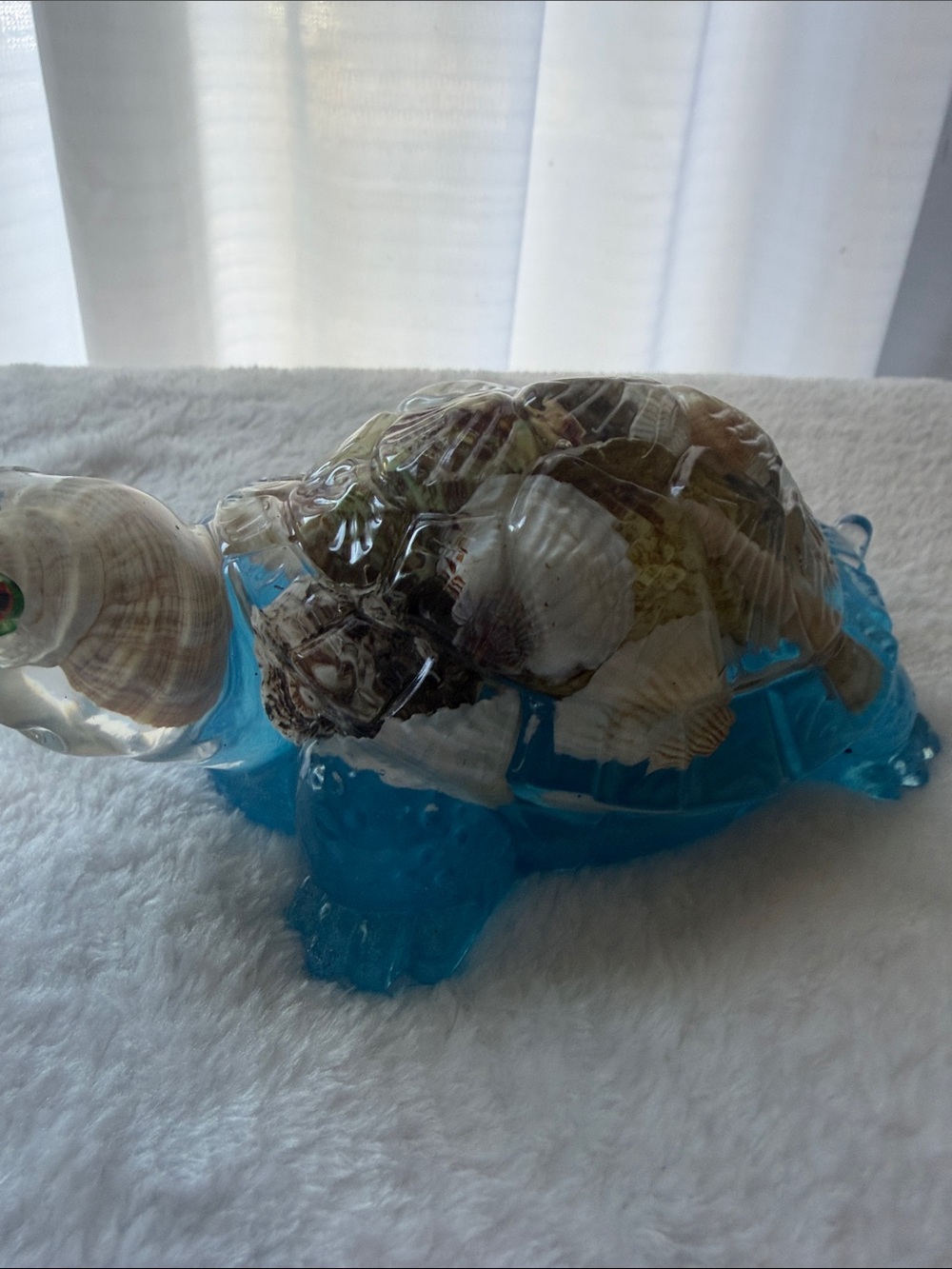 Handmade Turtle & Shells with Blue Base - Picture 3 of 5